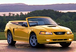Mustang